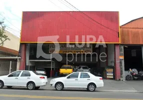 Foto 1 de Galpão/Depósito/Armazém para alugar, 480m² em Vila Gustavo, São Paulo