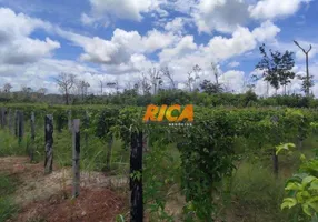 Foto 1 de Fazenda/Sítio à venda, 570000m² em , Humaitá