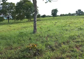 Foto 1 de Fazenda/Sítio à venda em Caicara, Faina