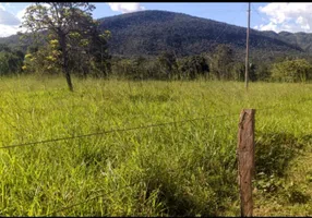 Foto 1 de Fazenda/Sítio com 3 Quartos à venda, 17m² em Zona Rural, Colinas do Sul