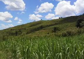 Foto 1 de Fazenda/Sítio à venda, 230000m² em , Ribeirão