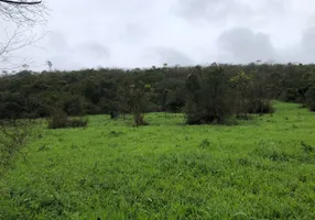 Foto 1 de Fazenda/Sítio com 3 Quartos à venda, 3669565m² em Zona Rural, Mundo Novo