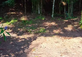 Foto 1 de Lote/Terreno à venda, 500m² em Camburi, São Sebastião