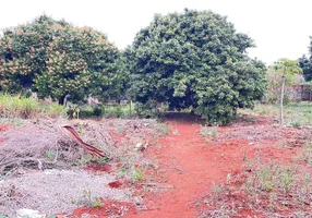 Foto 1 de à venda, 10m² em Vila Oliveira, Rolândia