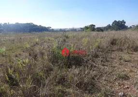 Foto 1 de Lote/Terreno à venda, 12542m² em Thomaz Coelho, Araucária