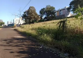 Foto 1 de Lote/Terreno à venda, 300m² em Vigilato Pereira, Uberlândia