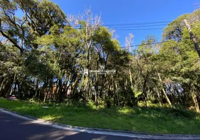 Foto 1 de Lote/Terreno à venda, 802m² em Mato Queimado, Gramado