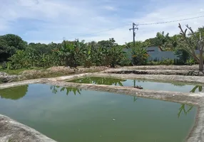 Foto 1 de Fazenda/Sítio com 3 Quartos à venda, 200m² em Citrolandia, Magé