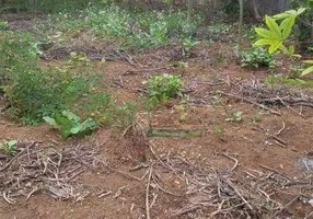 Foto 1 de Lote/Terreno à venda, 276m² em Bosque dos Eucaliptos, São José dos Campos