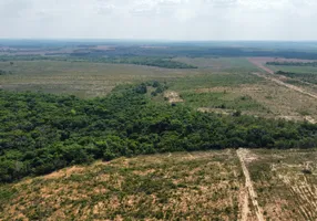 Foto 1 de Fazenda/Sítio à venda, 230m² em Setor Central, Centenário