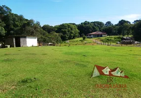 Foto 1 de Fazenda/Sítio com 1 Quarto à venda, 3200m² em Campina do Taquaral, São José dos Pinhais