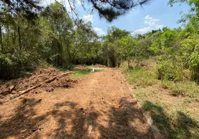 Foto 1 de Lote/Terreno à venda, 50000m² em Chácara Roselândia, Cotia