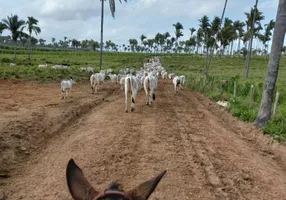 Foto 1 de Fazenda/Sítio à venda em , Penalva