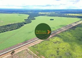 Foto 1 de Fazenda/Sítio à venda, 98000m² em Zona Rural, Paranatinga