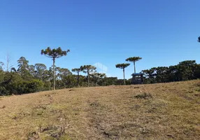 Foto 1 de Fazenda/Sítio com 3 Quartos à venda, 27700m² em Apanhador, Caxias do Sul