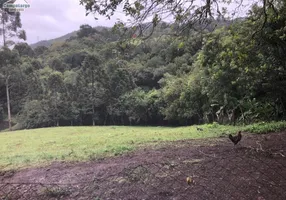 Foto 1 de Fazenda/Sítio com 3 Quartos à venda, 91355m² em Bateias, Campo Largo