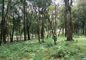 Foto 1 de Lote/Terreno à venda, 15000m² em Salto, Campo Alegre