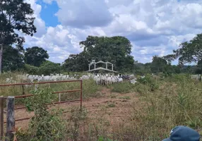Foto 1 de Fazenda/Sítio com 2 Quartos à venda, 54250000m² em Zona Rural, Buritizeiro