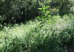 Foto 1 de Lote/Terreno à venda, 1200m² em Colônia Alpina, Teresópolis