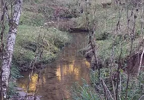 Foto 1 de Fazenda/Sítio com 5 Quartos à venda, 240m² em Laranjeiras, Campo Alegre