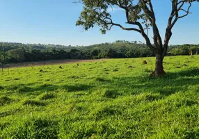 Foto 1 de Fazenda/Sítio à venda, 20000m² em Zona Rural, São Gonçalo do Pará