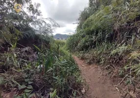 Foto 1 de Lote/Terreno à venda, 1600m² em Chacara Paraiso, Nova Friburgo