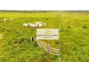 Foto 1 de Fazenda/Sítio com 11 Quartos à venda, 500m² em , Colinas do Tocantins