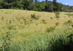 Foto 1 de Fazenda/Sítio com 2 Quartos à venda, 45m² em Zona Rural, Santa Leopoldina