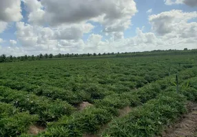 Foto 1 de Fazenda/Sítio com 3 Quartos à venda, 84000m² em Centro, Vera Cruz