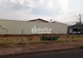 Foto 1 de Lote/Terreno para alugar, 250m² em Alto Umuarama, Uberlândia