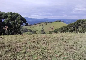 Foto 1 de Lote/Terreno à venda, 2000m² em Zona Rural, Delfim Moreira