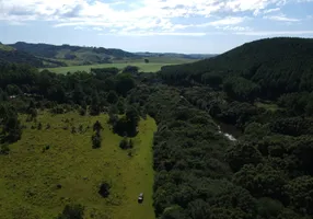 Foto 1 de Fazenda/Sítio com 1 Quarto à venda, 420000m² em Lajeado Grande, São Francisco de Paula