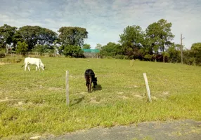 Foto 1 de Fazenda/Sítio à venda em Água Branca, Boituva