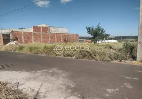 Foto 1 de Lote/Terreno à venda, 250m² em Milenium, Araguari