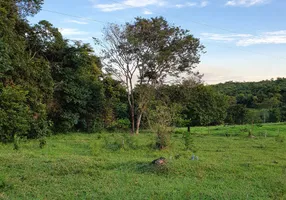 Foto 1 de Fazenda/Sítio à venda, 888000m² em Setor Central, Mairipotaba