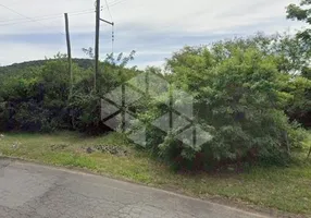 Foto 1 de Lote/Terreno para alugar, 15000m² em Ponta Grossa, Porto Alegre