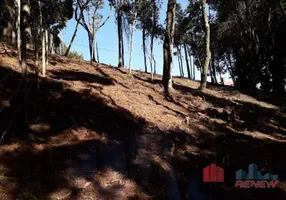 Foto 1 de Lote/Terreno à venda, 600m² em Monte Verde, Camanducaia