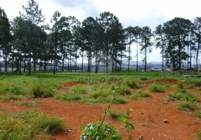 Foto 1 de Lote/Terreno à venda em Jardim São Paulo, Itaquaquecetuba