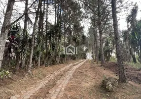 Foto 1 de Lote/Terreno à venda, 18455m² em Tijuco Preto, Cotia