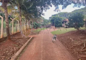 Foto 1 de Fazenda/Sítio com 3 Quartos à venda, 1000m² em Zona Rural, São Simão