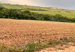 Foto 1 de Lote/Terreno à venda, 20000m² em Centro, Porto Feliz