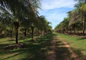 Foto 1 de Fazenda/Sítio com 1 Quarto à venda, 30000m² em Zona Rural, Cuiabá