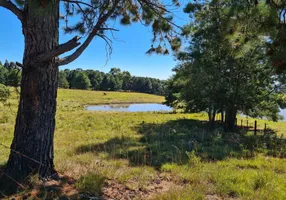 Foto 1 de Fazenda/Sítio com 1 Quarto à venda, 30000m² em Saiqui, Canela