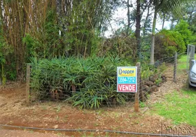 Foto 1 de Fazenda/Sítio com 3 Quartos à venda, 95m² em São Luís, Sapiranga