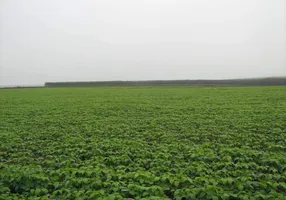 Foto 1 de Fazenda/Sítio com 3 Quartos à venda, 10000000m² em Zona Rural, Bonito de Minas