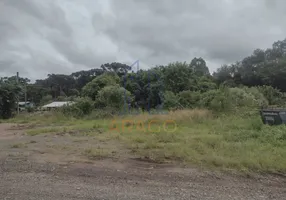 Foto 1 de Lote/Terreno à venda, 1100m² em Bela Alianca, São Bento do Sul