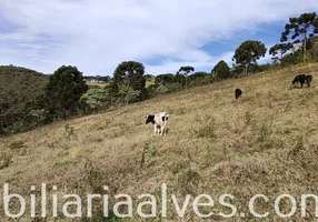 Foto 1 de Lote/Terreno à venda, 63400m² em Zona Rural, Delfim Moreira