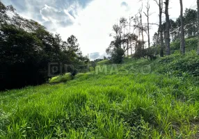 Foto 1 de Lote/Terreno à venda, 2453m² em Curral, Ibiúna