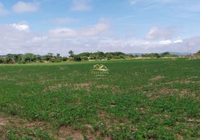 comprar Ferrari em Campo Magro - PR