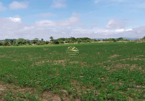 Foto 1 de Lote/Terreno à venda, 14146m² em Ferrari, Campo Largo